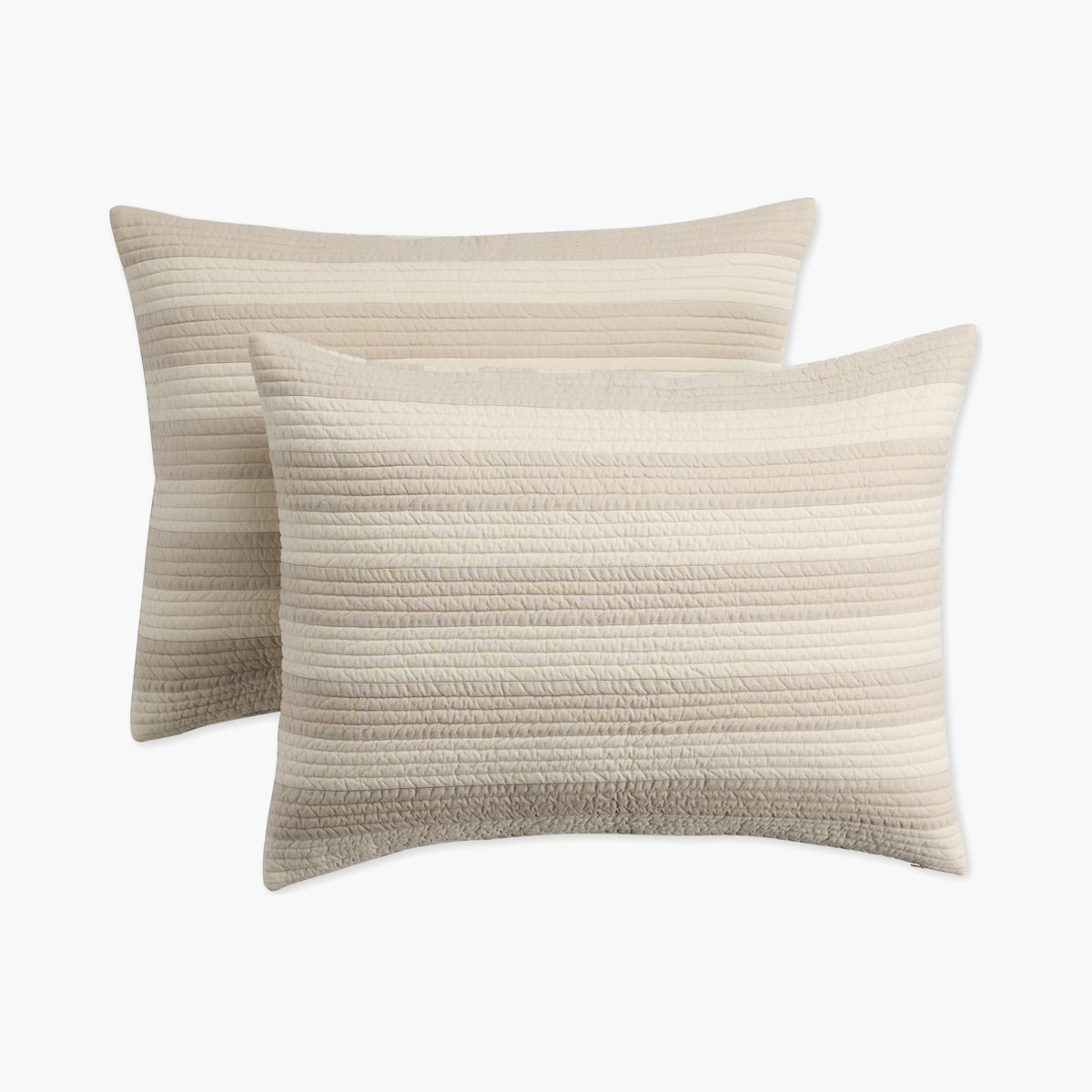 Wiley Shams - Set of 2